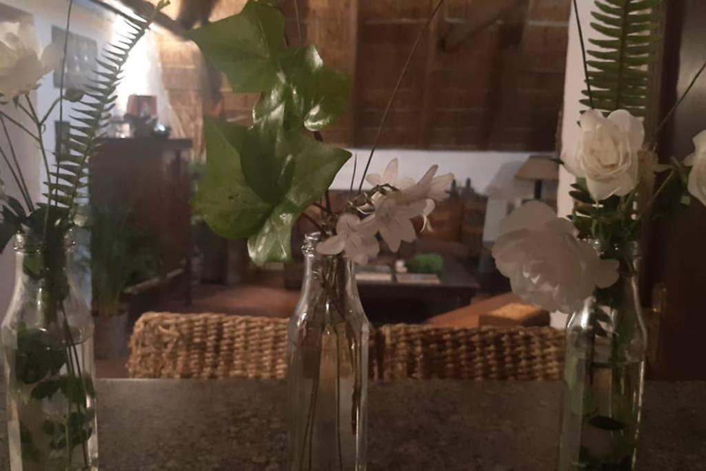 Pantera Lodge & Cheetah Cottage Йоханесбург Екстериор снимка